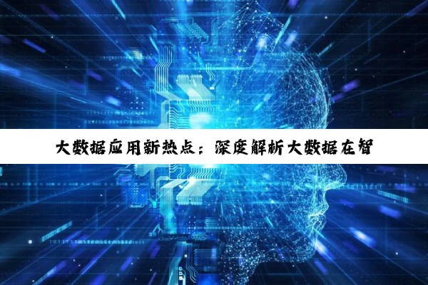 大数据应用新热点：深度解析大数据在智能化时代的多领域创新应用