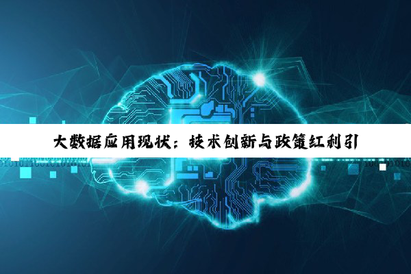 大数据应用现状：技术创新与政策红利引领下的新蓝海探索