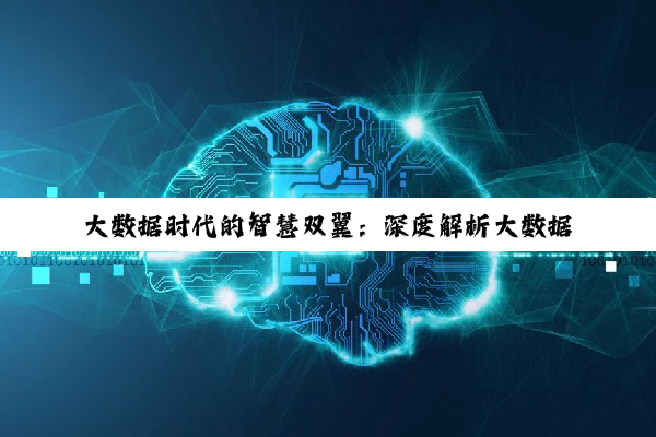 大数据时代的智慧双翼:深度解析大数据管理与应用的差异与前景