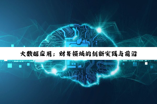 大数据应用：财务领域的创新实践与前沿热点探索