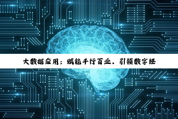 大数据应用:赋能千行百业,引领数字经济新热点